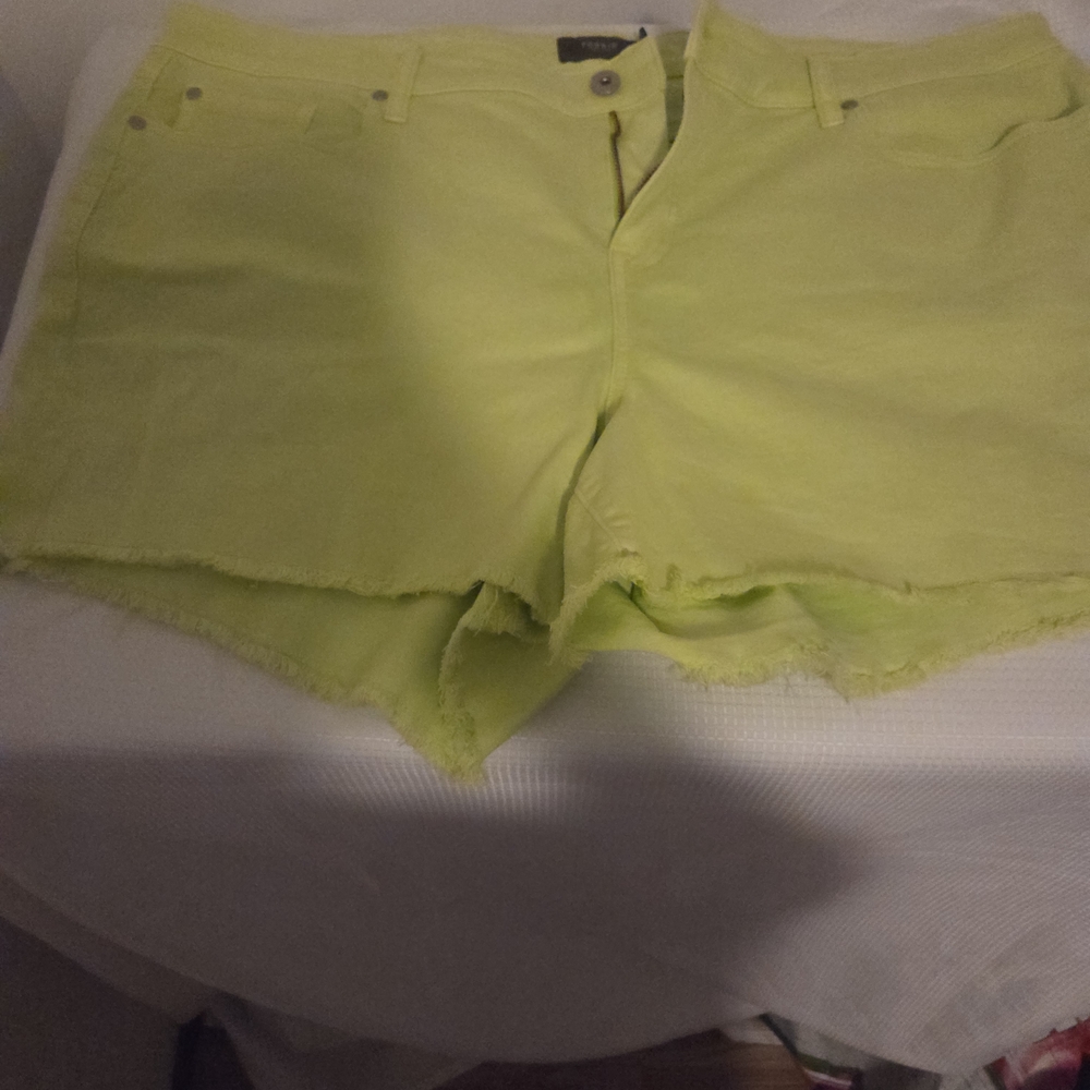 Vibrant Lime Denim Shorts for Women